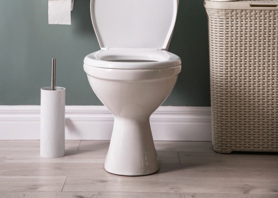toilets - Ways To Prevent Bathroom Plumbing Problems & Solutions
