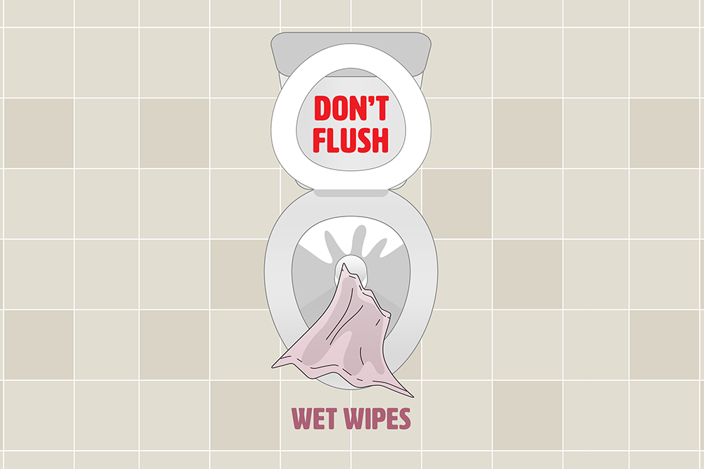 pph 3 - Flushable or Not Flushable? A Guide